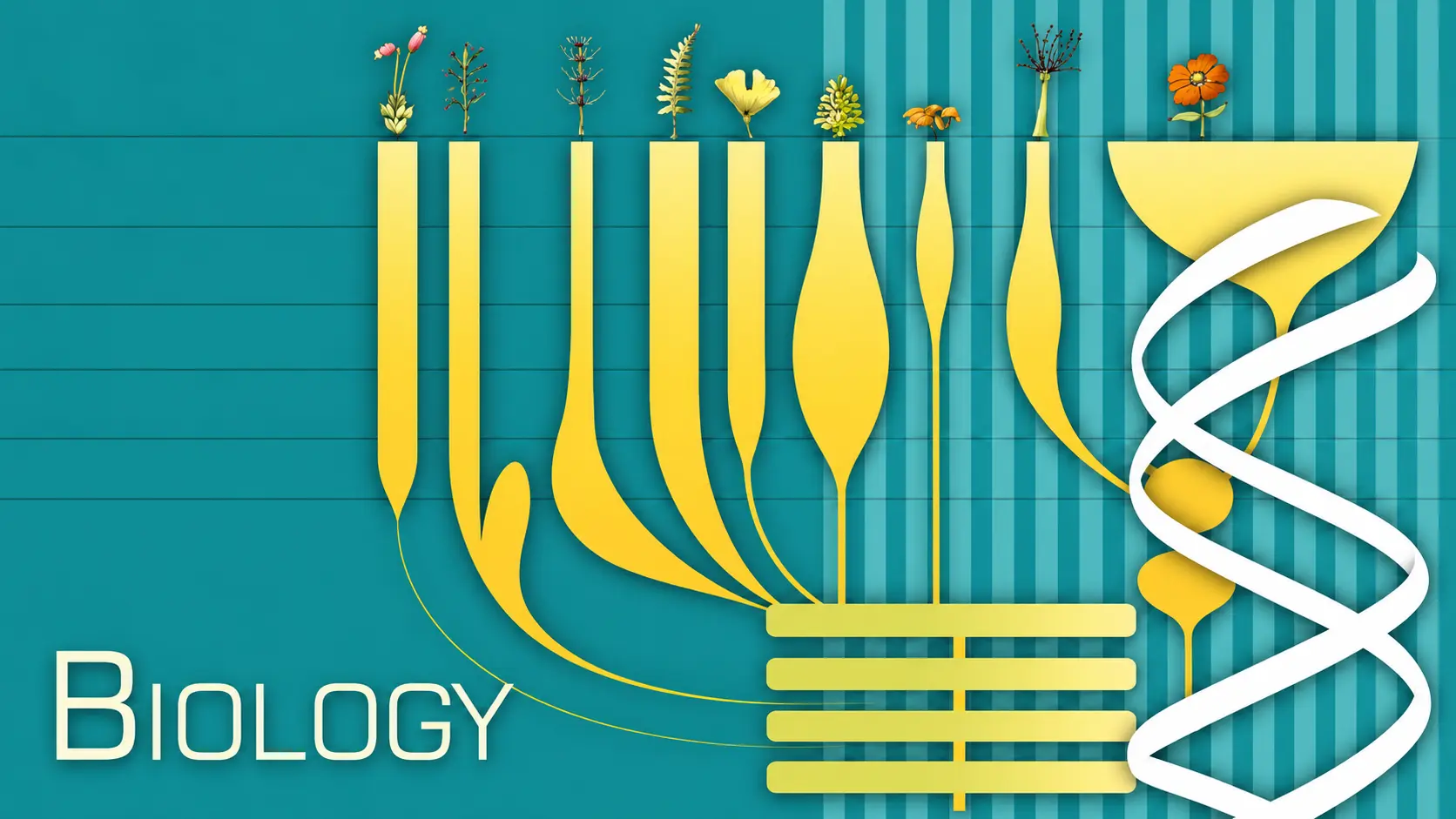 Class 12 Biology