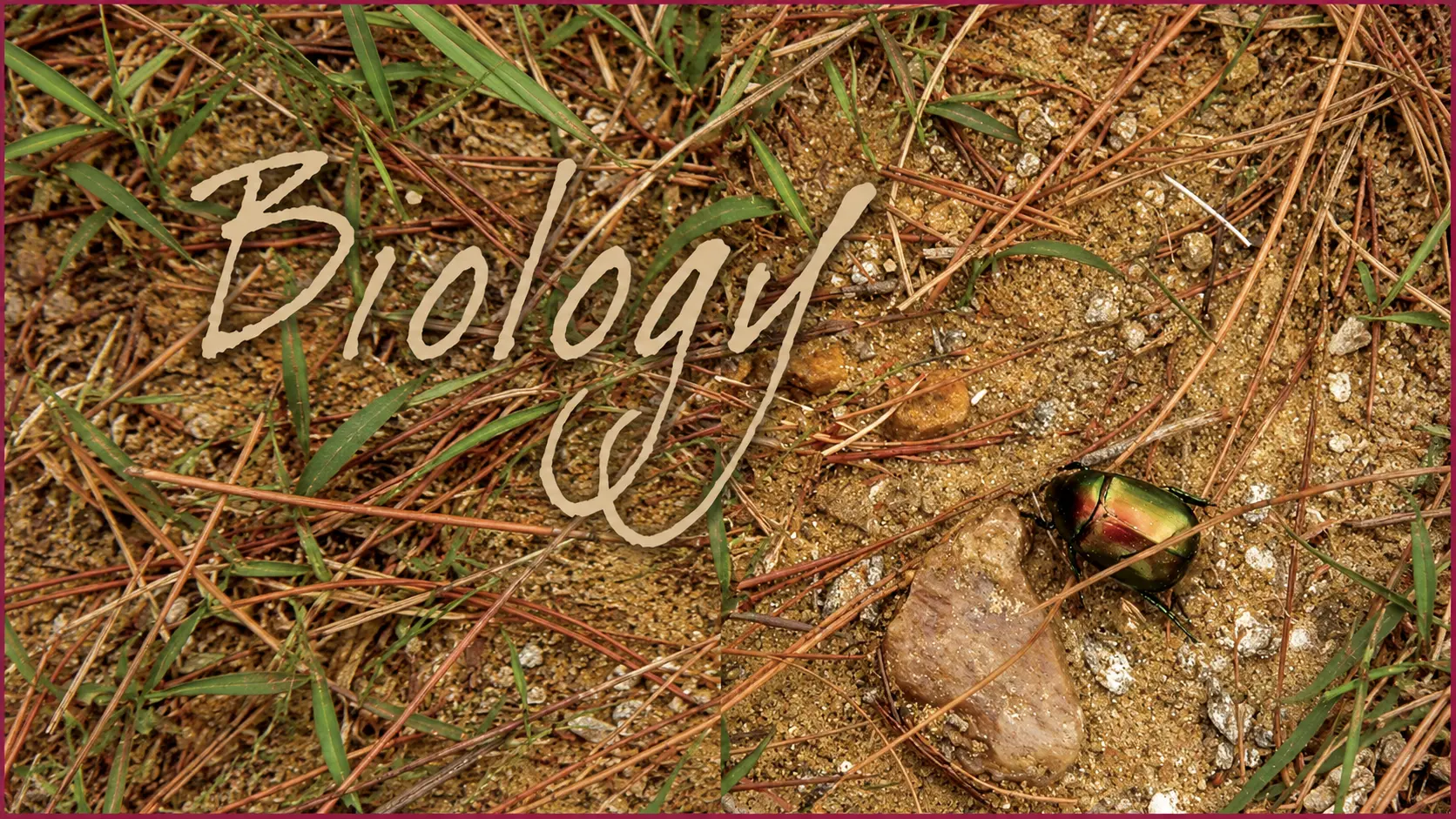 Class 11 Biology